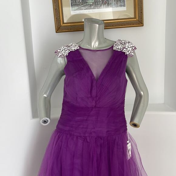 KATHY HILTON Raspberry Fit & Flare Mesh Dress Beads Embellished Shoulder Size 10 - Picture 6 of 14